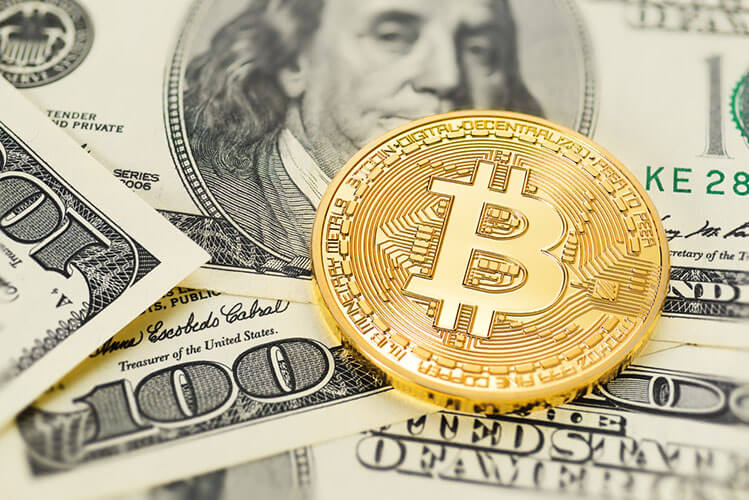 Узнай про сферу криптовалют с Tradeallcrypto